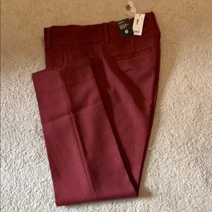 The Limited Pencil Pants